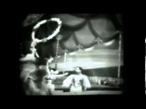 THE PONEYMEN - "Horse On Circus" (feat. Mokronog/Constitution Anale + Parallel Odyssey Remix)