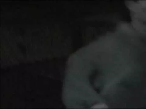 Miss Tetanos (und) Sri.Fa, video by Rose Carrée
