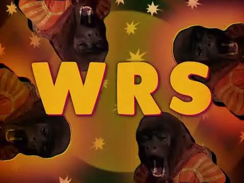 The WRS - Do It