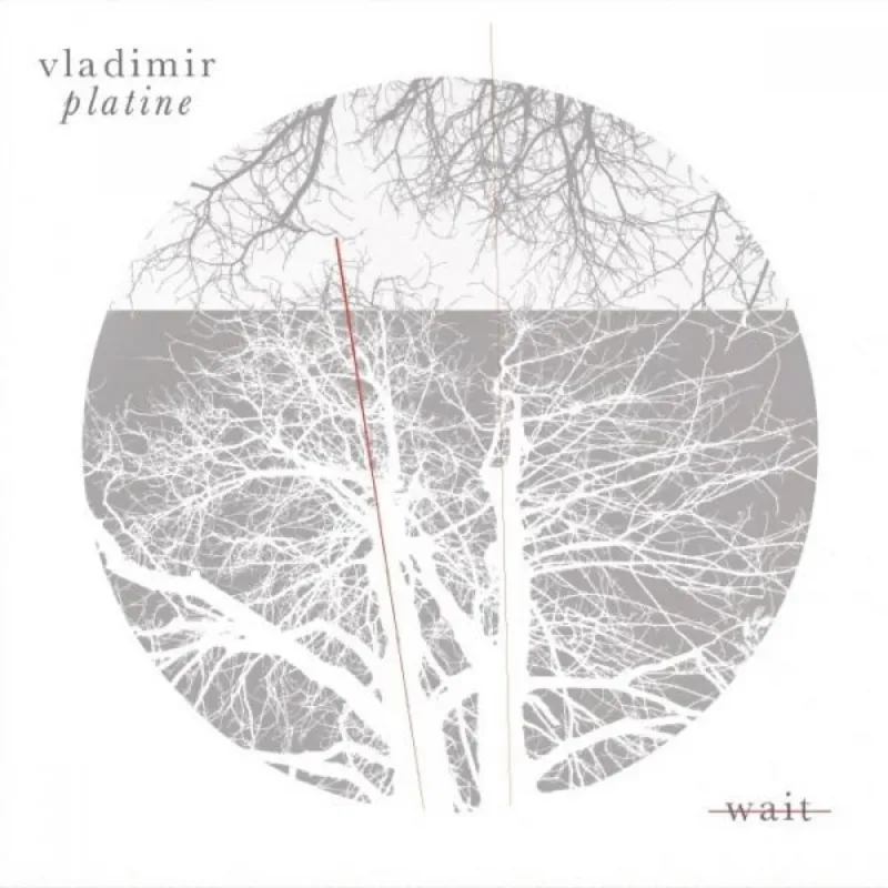 Vladimir Platine - Wait (cover)