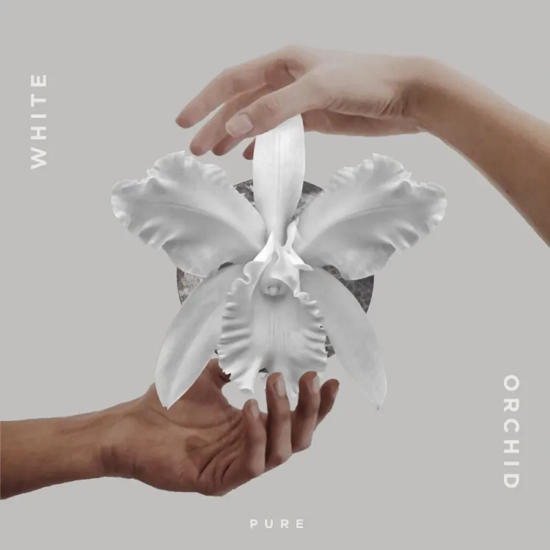 Purefall - White Orchid