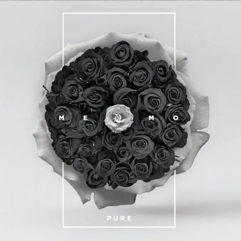 Purefall - Memo