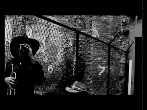 Solar Skeletons - Mr Saler