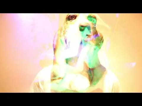 Billions Of Comrades - Minor [Official Music Video]